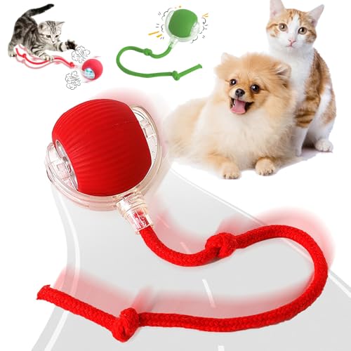 HIK FASHION Interactive Electric Automatic Rolling Moving Rechargeable Self Play Stimul…
